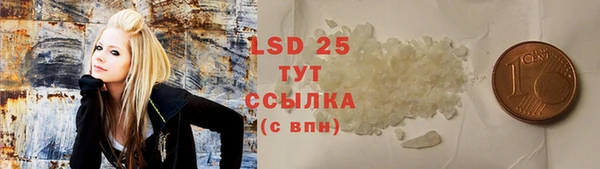 ПСИЛОЦИБИНОВЫЕ ГРИБЫ Алексин