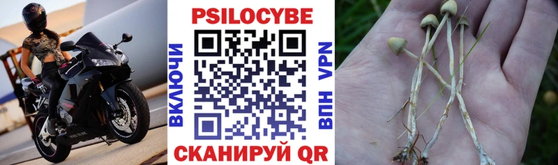 Псилоцибиновые грибы мухоморы  Самара 