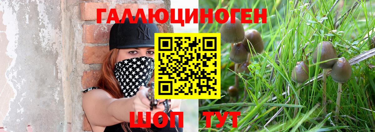 Галлюциногенные грибы прущие грибы  наркота  Самара  Вход с VPN  Галлюциногенные грибы мухоморы 